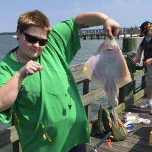 Meet your Posher, Sara